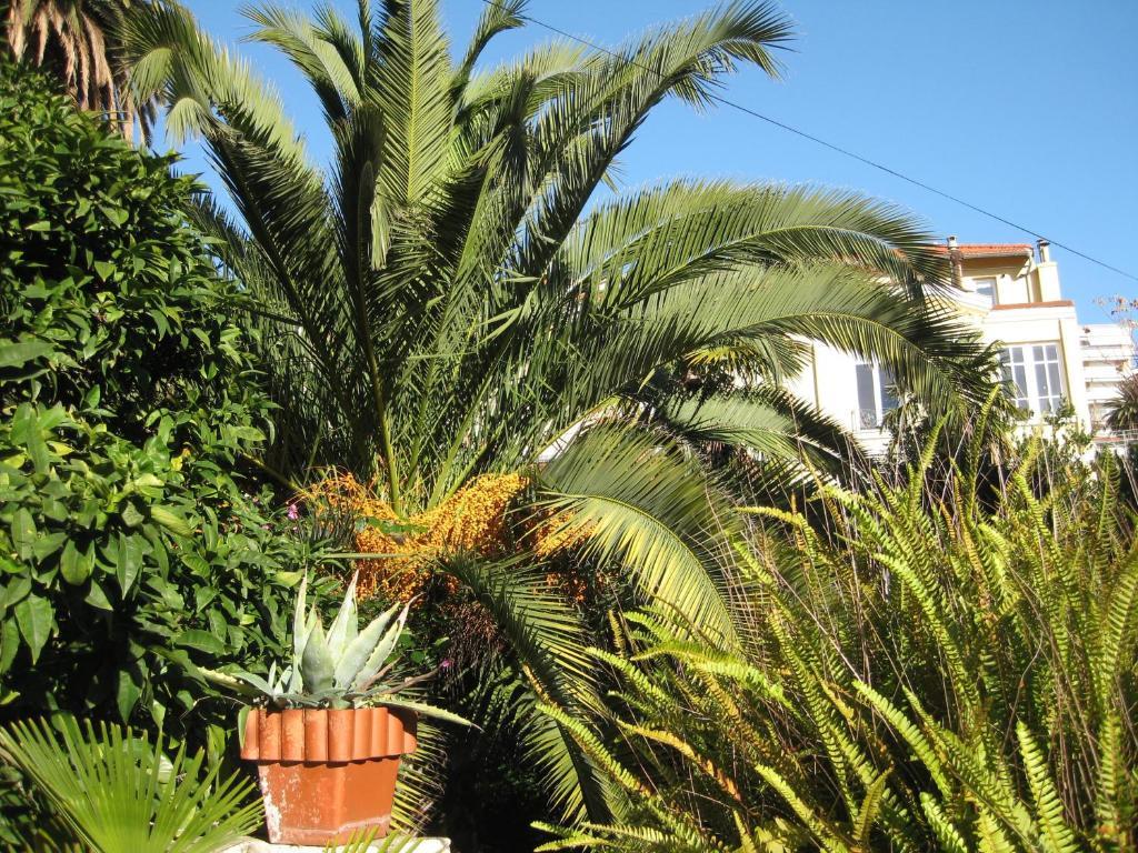 Hotel Villa La Malouine Nice Exterior photo